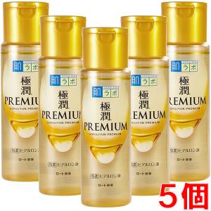 【5個】ロート製薬 肌ラボ 極潤プレミアム ヒアルロン液  170mL×5個【コンパクト】｜koyama-p