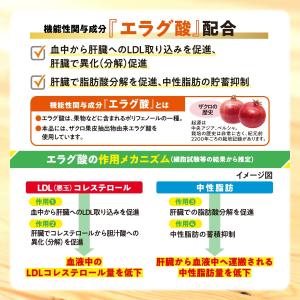 大正製薬 コレス&ミドルケア さらっとおいしい...の詳細画像2