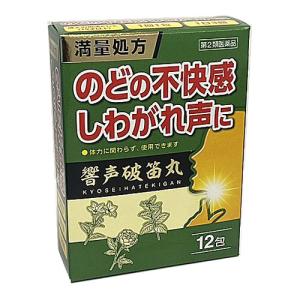 【第2類医薬品】響声破笛丸エキス顆粒G　12包（きょうせいはてきがん）｜koyama-p