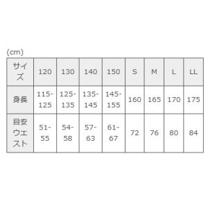 2本ラインショートパンツ スクールパンツ 12...の詳細画像2