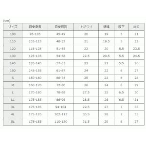 スクールパンツ ライン入り ライン2本 100...の詳細画像3
