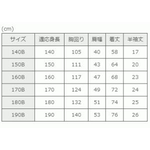男子開衿シャツ 半袖 TOMBOW 半袖スクー...の詳細画像2