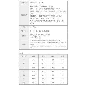 男女兼用スクールVネックセーター 快清ニット ...の詳細画像5