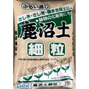 BSM1 Best Soil Mix 1L1袋 ベストソイルミックス 1リットル 観葉植物用