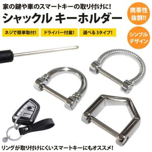 ネジ式 シャックル キーホルダー キーリング Dリング 鍵 スマートキー メンズ 金属製 おしゃれ シンプル