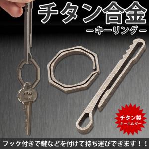 MOOBIUS モービウス Key Chain キーチェーン】カスタムクリップキー