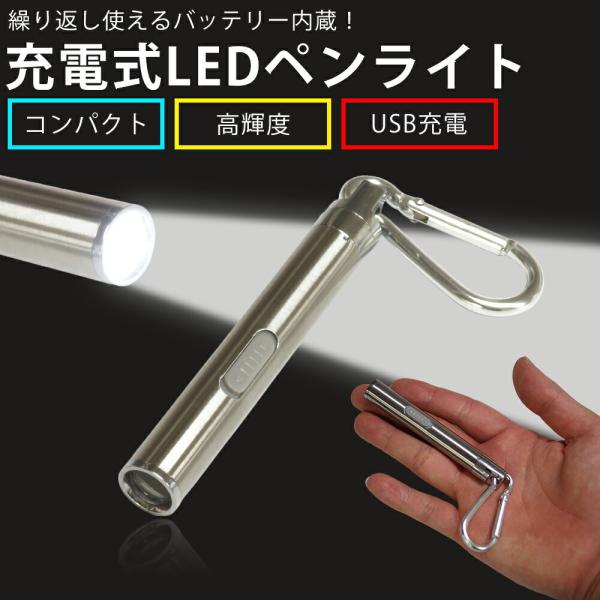 LEDペンライト USB充電式 コンパクト LED 高輝度 軽量 ステンレス キーホルダー カラビナ...