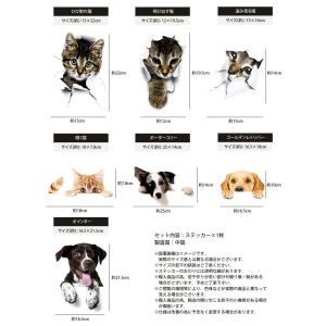 動物 カーステッカー アニマル 犬 猫 かわい...の詳細画像4