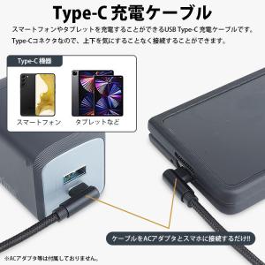 Type-C ケーブル 3本セット 25cm ...の詳細画像2