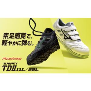 MIZUNO（ミズノ） 安全靴 雪用 防水 F1GA180414 オールマイティ WT