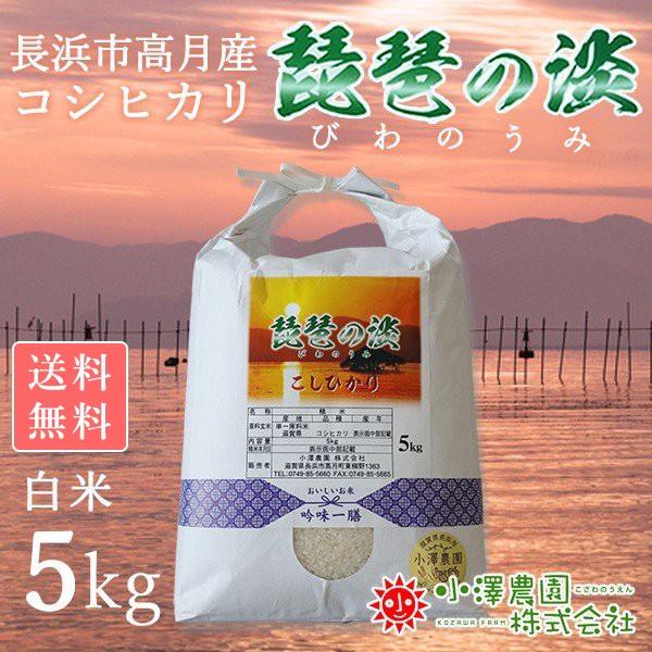 【新米】令和5年産 滋賀県産こしひかり5kg  白米 琵琶の淡  近江米 もっちり 甘み 冷めても美...