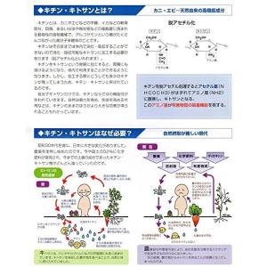 三愛キトサン 粒タイプ 180粒 2本セット ...の詳細画像2