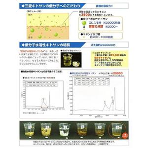 三愛キトサン 粒タイプ 180粒 2本セット ...の詳細画像4
