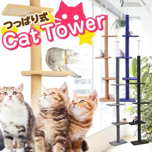 キャットタワー 突っ張り / シンプル キャットポール 木登り ネコタワー 高230〜260cm シンプル スリム 猫 天井 突っ張りタイプ