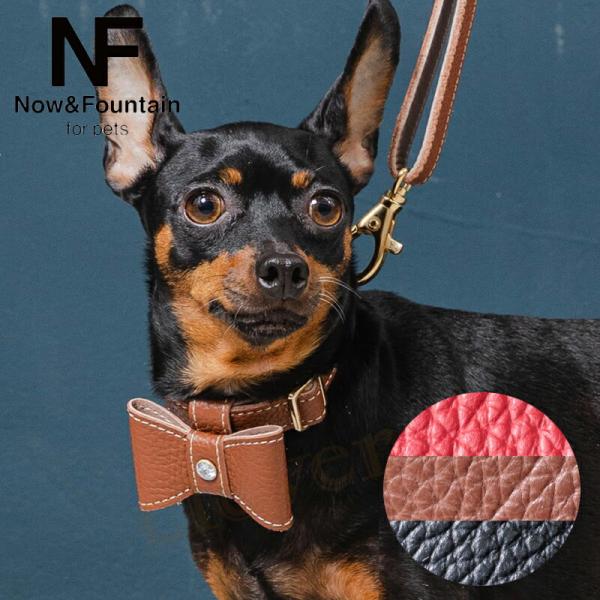 Now&amp;Fountain 首輪 Mサイズ ナチュラルスキン ナチュラルスキン トイプードル ミニチュ...