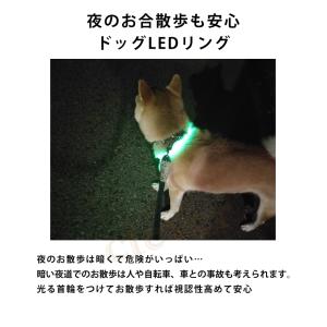 犬用 LEDリング 光る首輪 USB充電式 L...の詳細画像1