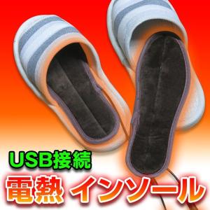 USB接続 発熱インソール 23.5cm-28cm / ヒーター付 インソール 中敷 靴 足あったか ヒーター内蔵 電熱インソール 電熱中敷 防寒