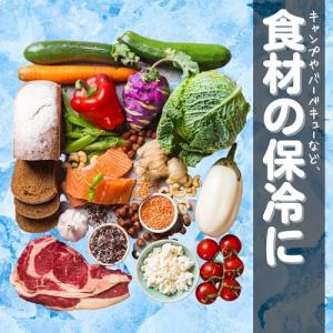 保冷剤 長時間 強力 まとめ買い 〔 日本製/...の詳細画像4