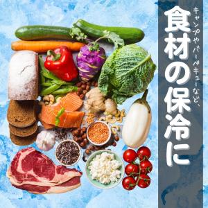保冷剤 長時間 強力 まとめ買い 日本製 持ち...の詳細画像4