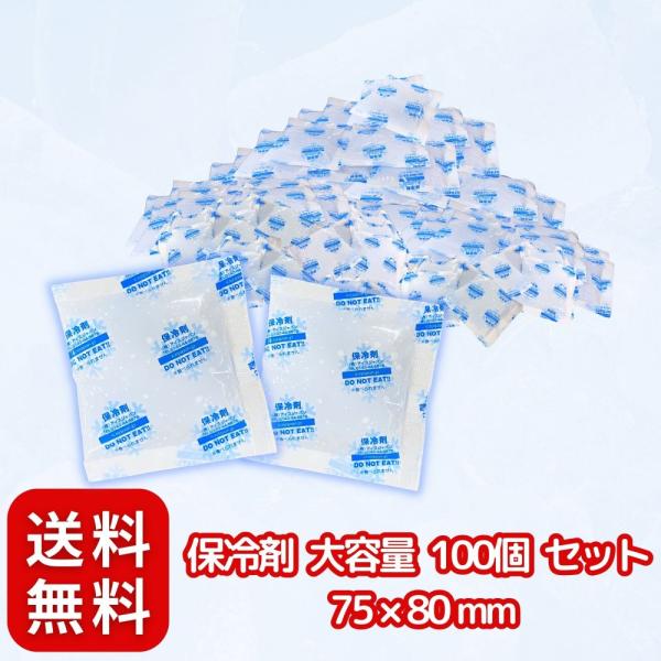 保冷剤 大容量 〈 100個セット / 75 × 80 mm 〉 長時間 保冷 まとめ買い (日本製...