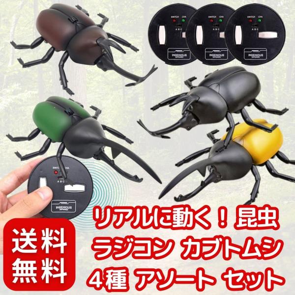 【まるで本物!リアルに動く!】 昆虫 ラジコン カブトムシ 4種 アソート セット 玩具 〔 プレゼ...