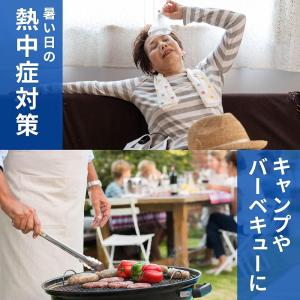 保冷剤 長時間 強力 まとめ買い 〔 日本製/...の詳細画像2