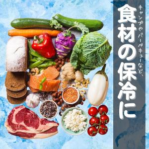 保冷剤 長時間 強力 まとめ買い 〔 日本製/...の詳細画像4