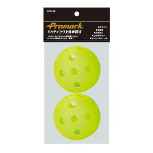 プロマーク PROMARK 野球ボール  バッティング上達練習球　2P HTB-2P｜kpi24