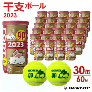 ダンロップ DUNLOP 硬式テニスボール 干支ボール 2023年FORT フォート  2個入 1箱 30缶/60球  DFE23ETOYL2 11月下旬発売予定 予約