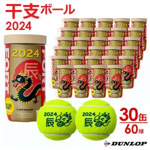 ダンロップ DUNLOP 硬式テニスボール 干支ボール 2024年「辰」FORT フォート  2個入 1箱 30缶/60球  DFF24ETOYL2『即日出荷』｜kpi