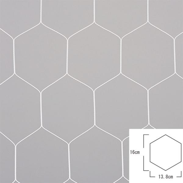 エバニュー EVERNEW フィットネス・エクササイズ用品  一般サッカーゴールネット亀甲S117 ...