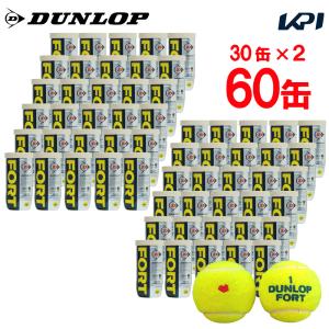 「部活応援キャンペーン10袋」 DUNLOP ダンロップ 「FORT フォート [2個入] 2箱セット 1箱30缶×2=120球 」テニスボール 「KPI限定」『即日出荷』