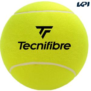 テクニファイバー Tecnifibre テニスアクセサリー  ミディアムボール サインボール MEDIUM BALL TFAA030｜kpi