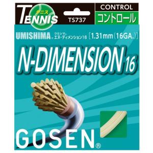 GOSEN ゴーセン 「ウミシマエヌディメンション16」ts737