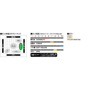 GOSEN ゴーセン 「ウミシマエヌディメンシ...の詳細画像1