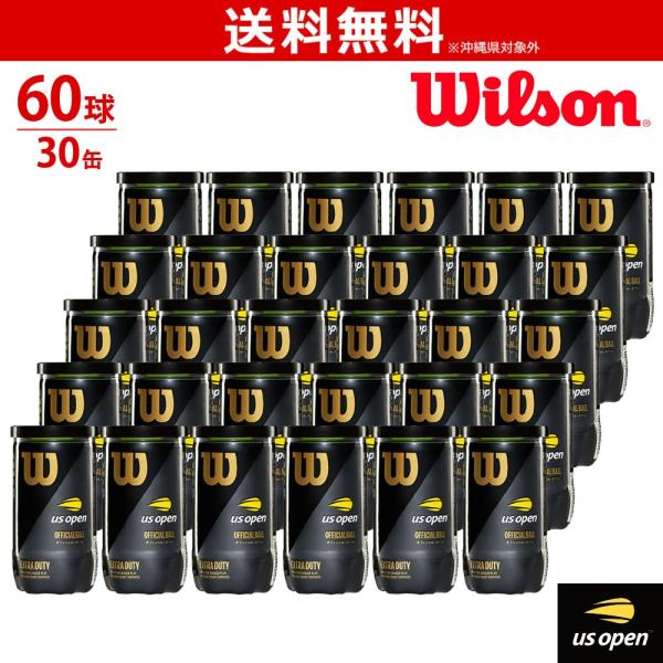 Wilson ウイルソン US OPEN EXTRA DUTY PROMO BALL USオープン・...