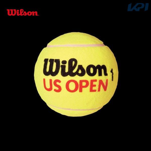ウイルソン Wilson テニスアクセサリー  US OPEN 5 ミニジャンボTボール WRT14...