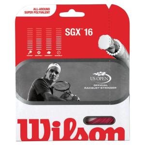 「5張セット」ウイルソン Wilson 硬式テニスストリング 「SGX(エスジーエックス)ピンクWRZ921800」｜kpi