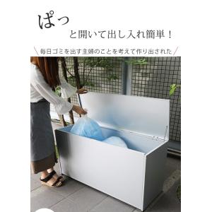 屋外収納庫 大型 屋外用ゴミ箱 ごみ箱 ゴミス...の詳細画像1