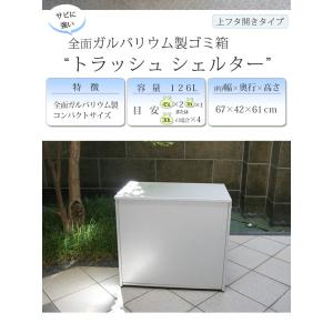 屋外収納庫 屋外用ゴミ箱 ごみ箱 ゴミストッカ...の詳細画像2