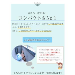 屋外収納庫 屋外用ゴミ箱 ごみ箱 ゴミストッカ...の詳細画像3