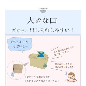 屋外収納庫 屋外用ゴミ箱 ごみ箱 ゴミストッカ...の詳細画像5