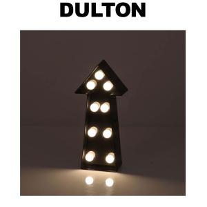 DULTON ダルトン サンタモニカ ノーティーアロー アローライト