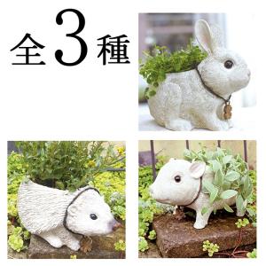 ファーム プランター S プランター ポットカバー 鉢カバー 植木鉢 おしゃれ かわいい 可愛い ナチュラル 庭 ガーデン ガーデニング ベランダ 玄関