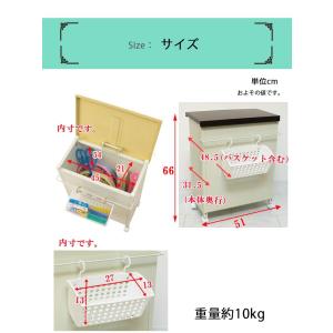 日本製 ベランダ収納庫 ハンガー入れ ハンガー...の詳細画像4