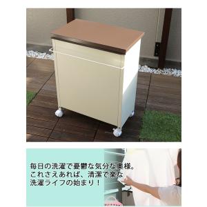 日本製 ベランダ収納庫 ハンガー入れ ハンガー...の詳細画像5
