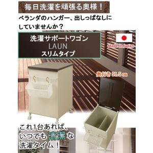 日本製 ベランダ収納庫 ハンガー入れ ハンガー...の詳細画像1