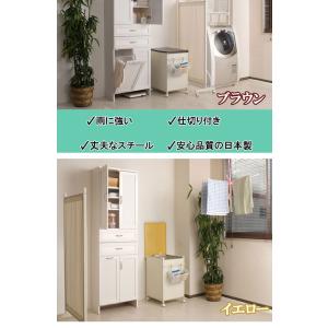 日本製 ベランダ収納庫 ハンガー入れ ハンガー...の詳細画像2
