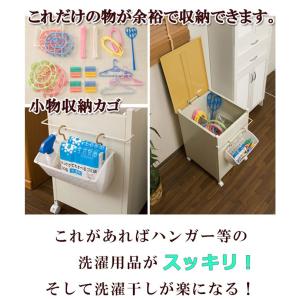 日本製 ベランダ収納庫 ハンガー入れ ハンガー...の詳細画像3