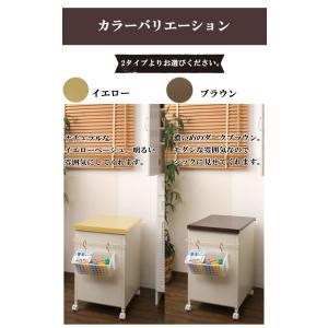日本製 ベランダ収納庫 ハンガー入れ ハンガー...の詳細画像5